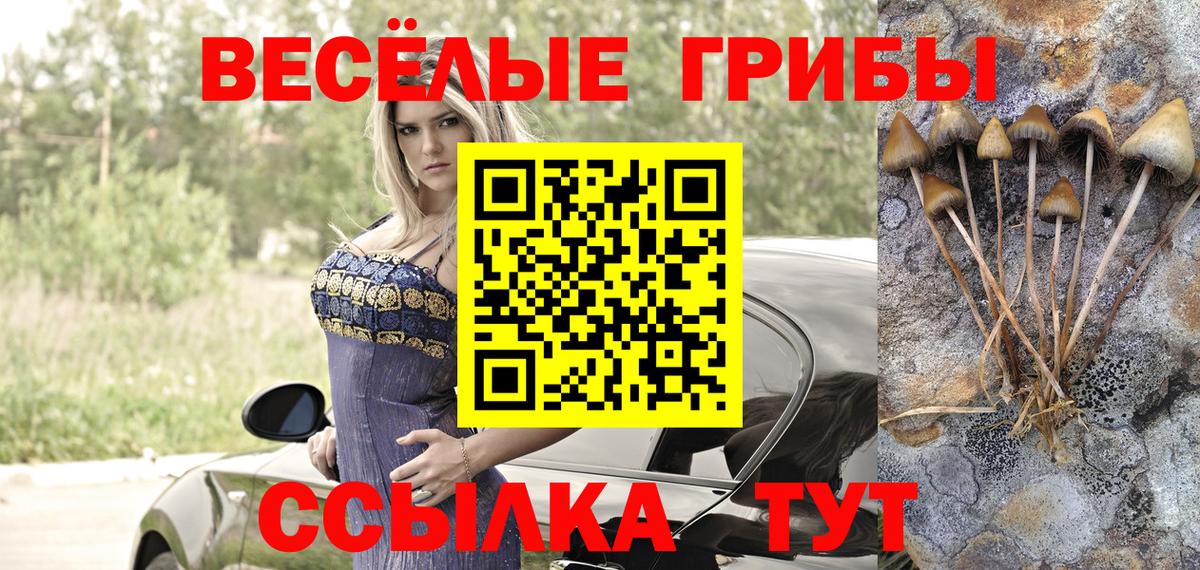 магазин продажи наркотиков  Галлюциногенные грибы прущие грибы  Вход с VPN  Городец 