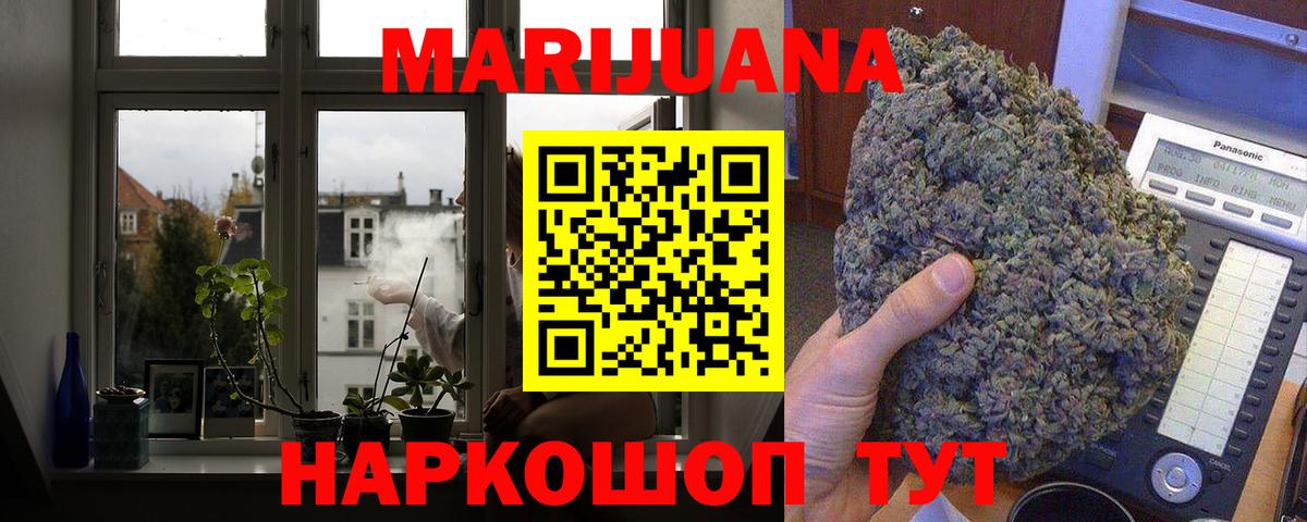 Канабис сатива Городец